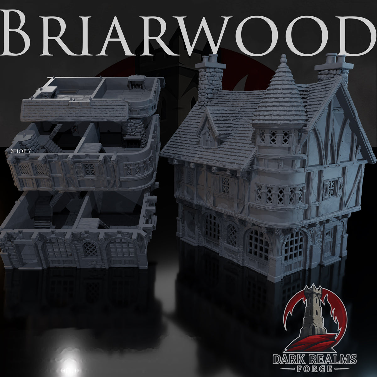 Shop 7 – Briarwood – Tabletop Terrain – product image 1