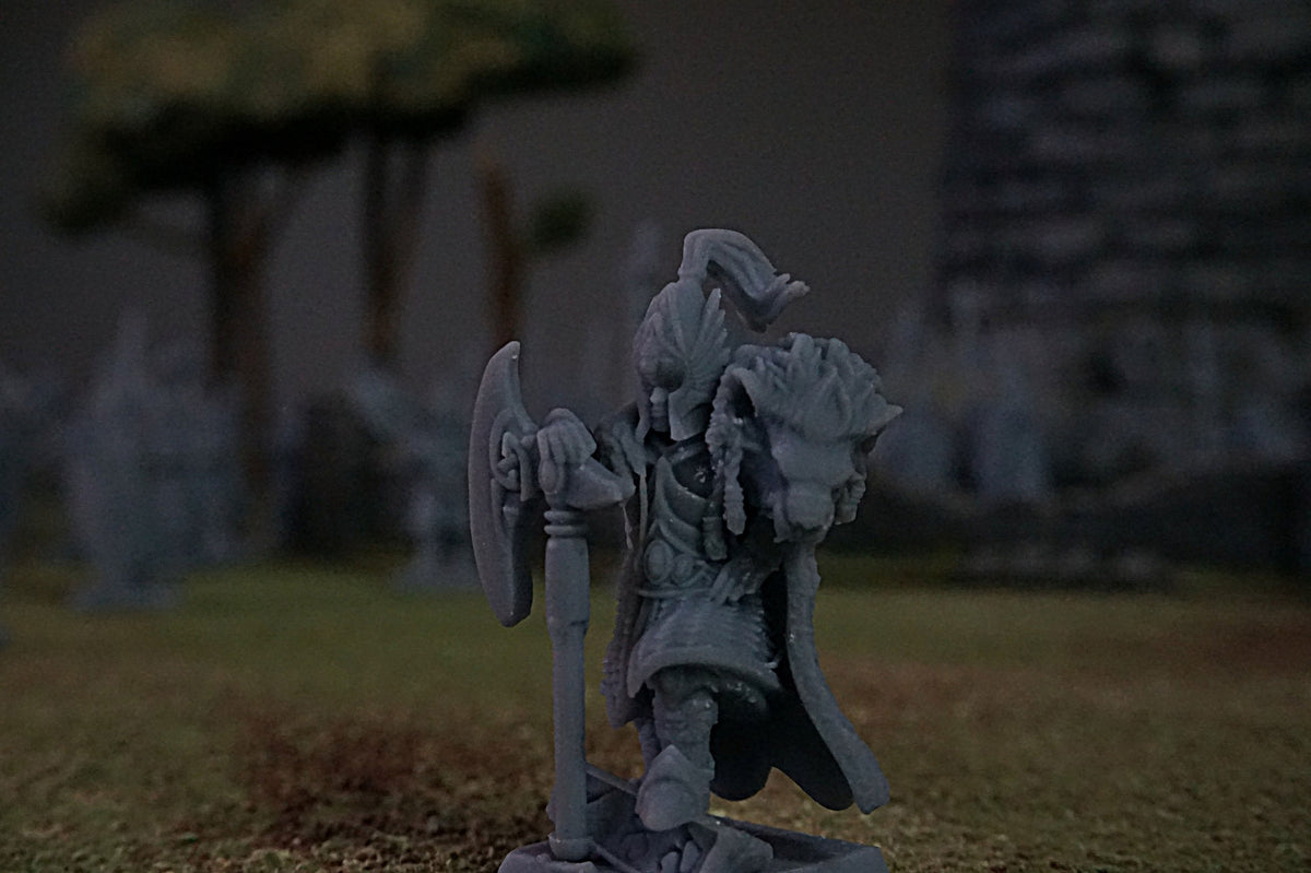 Elven Royal Guard – Landor Miniatures 3D Printed Miniature (32mm) - image 16