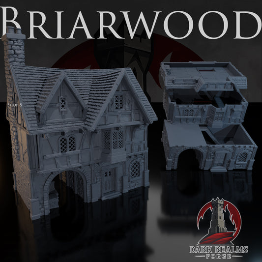 Shop 8 – Briarwood – Tabletop Terrain – product image 1