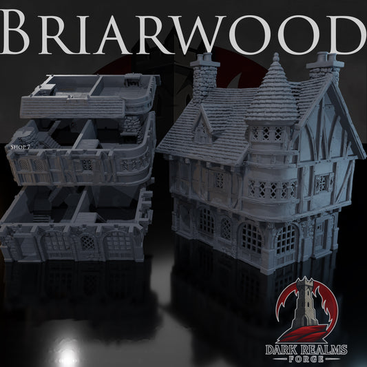 Shop 7 – Briarwood – Tabletop Terrain – product image 1