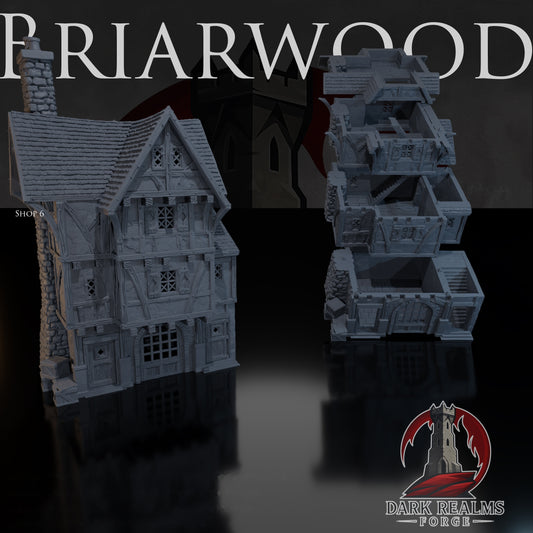 Shop 6 – Briarwood – Tabletop Terrain – product image 1