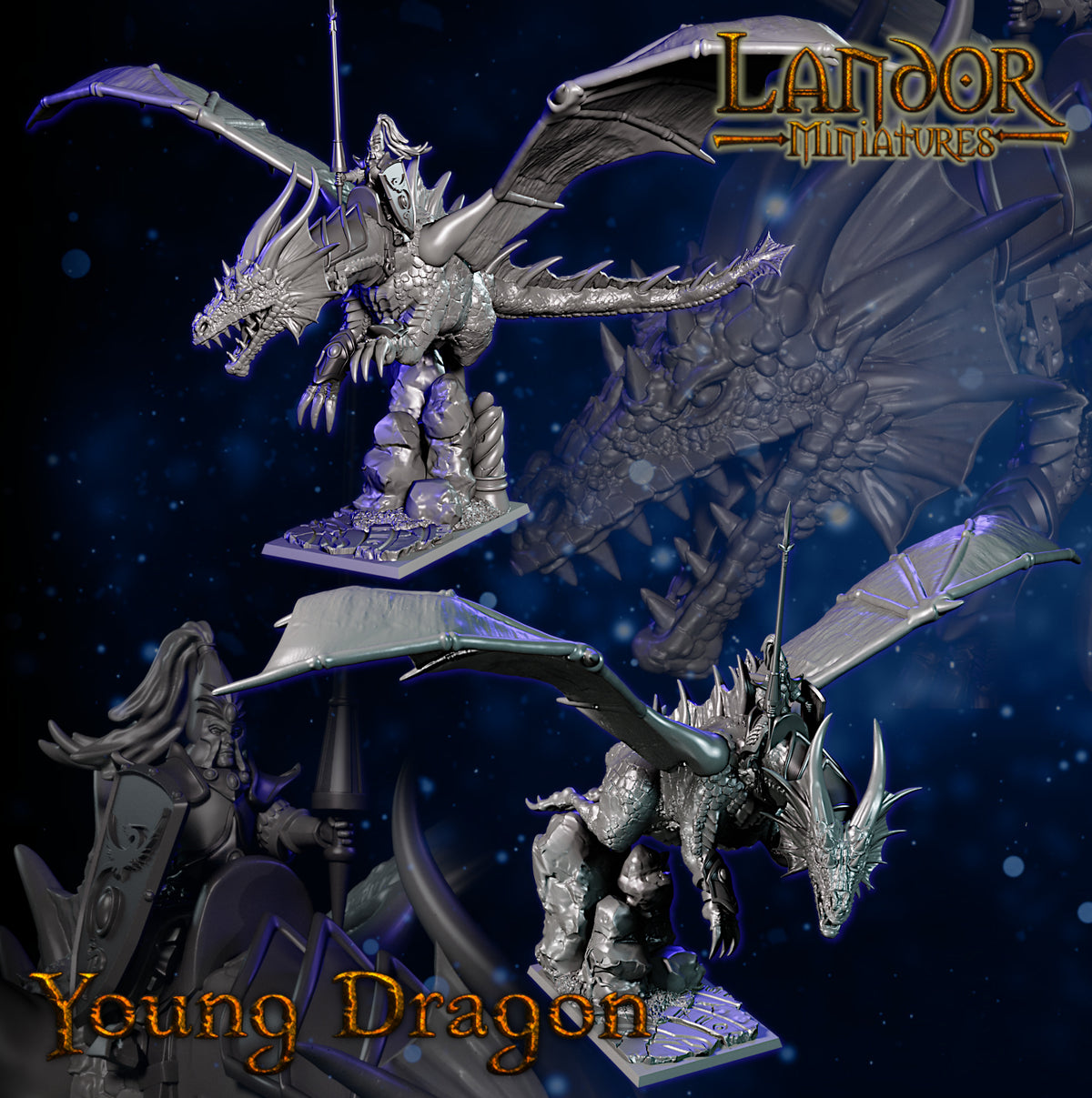 Young Dragon – Landor Miniatures 3D Printed Miniature (32mm) - image 2