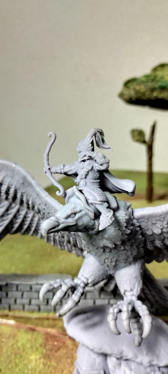 Hero on giant eagle – Landor Miniatures 3D Printed Miniature (32mm) - image 1