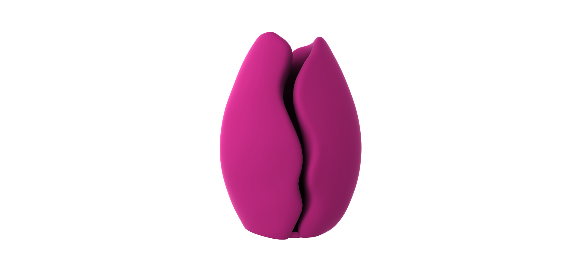 A pink flower-like object is shown against a black background.