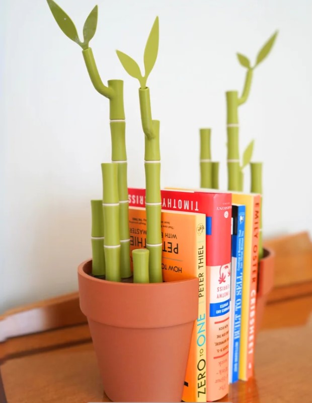 A terracotta pot filled with green bamboo shoots, which appear to be growing from the books inside.
