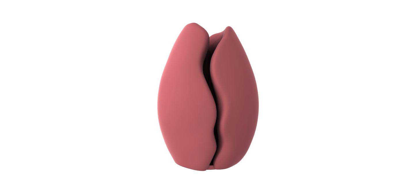 A pink, three-dimensional object resembling a flower or blossom against a black background.