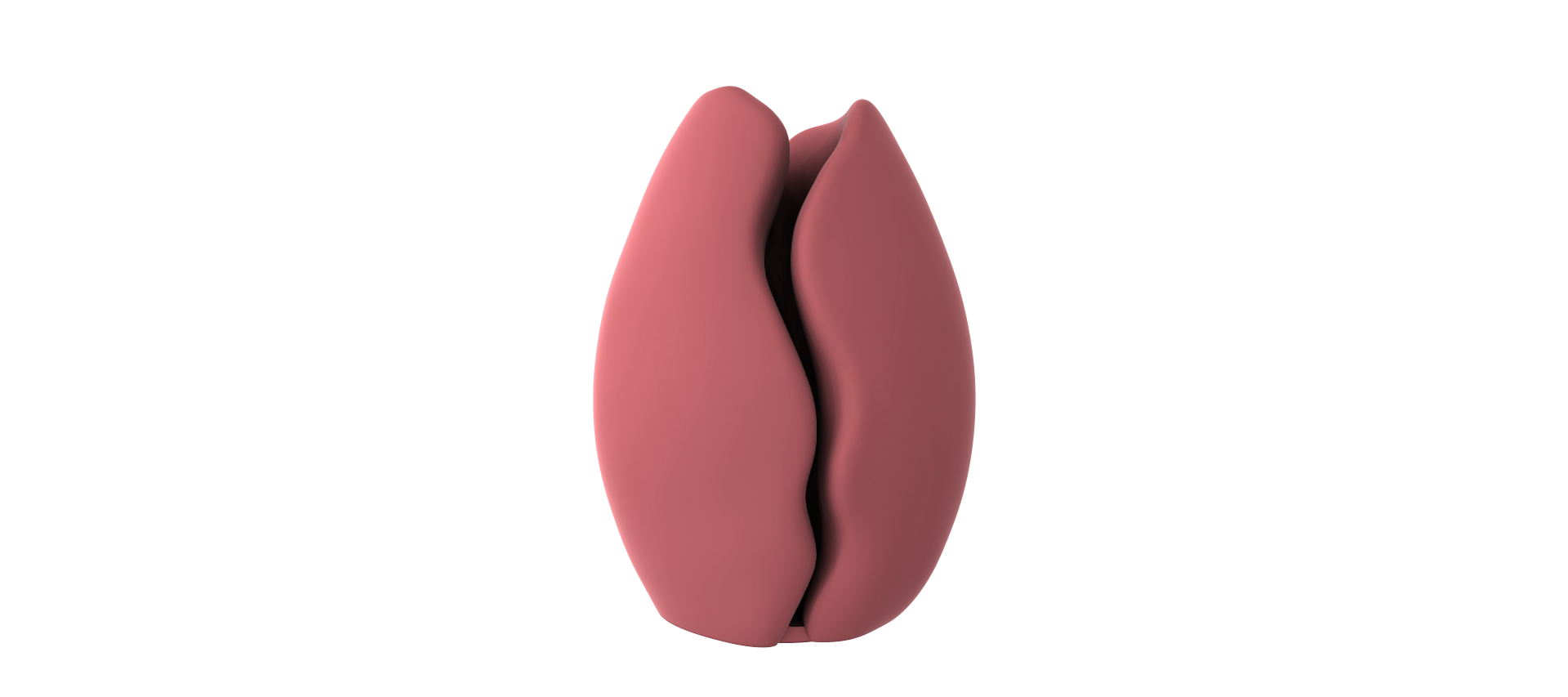 A pink, three-dimensional object resembling a flower or blossom against a black background.