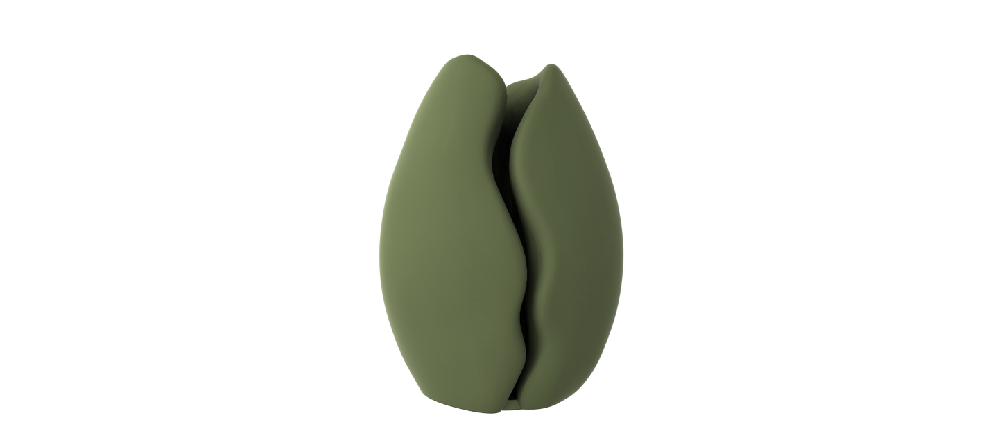 A green, elongated object resembling a flower or seed stands alone against a black background.