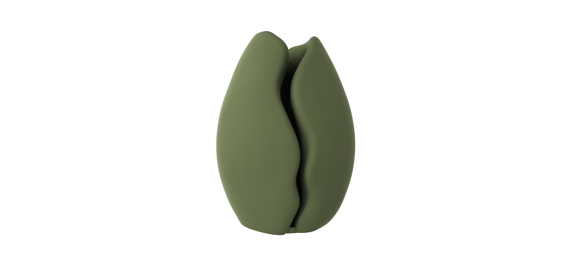 A green, elongated object resembling a flower or seed stands alone against a black background.