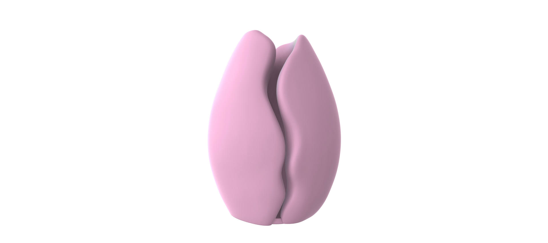 A 3D rendering of a pink flower-like object against a black background.