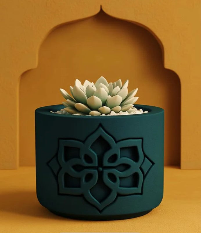 A potted succulent plant with a stylized design on a dark green pot, set against a warm orange background with an arched structure.