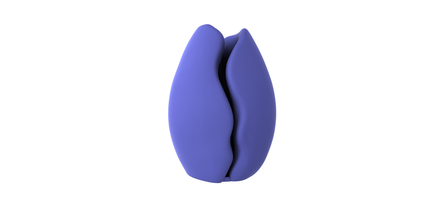 A 3D rendering of a purple, abstract shape resembling a flower or a seed, set against a black background.