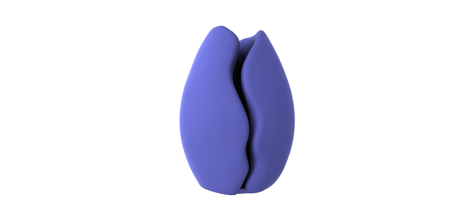 A 3D rendering of a purple, abstract shape resembling a flower or a seed, set against a black background.