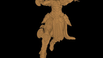 Angry Sister Paladin 3 Face Options! 38mm-50mm-75mm-100mm